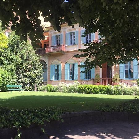 Hello - Modern Studio In Downtown Garden Apartment Torino Exterior foto